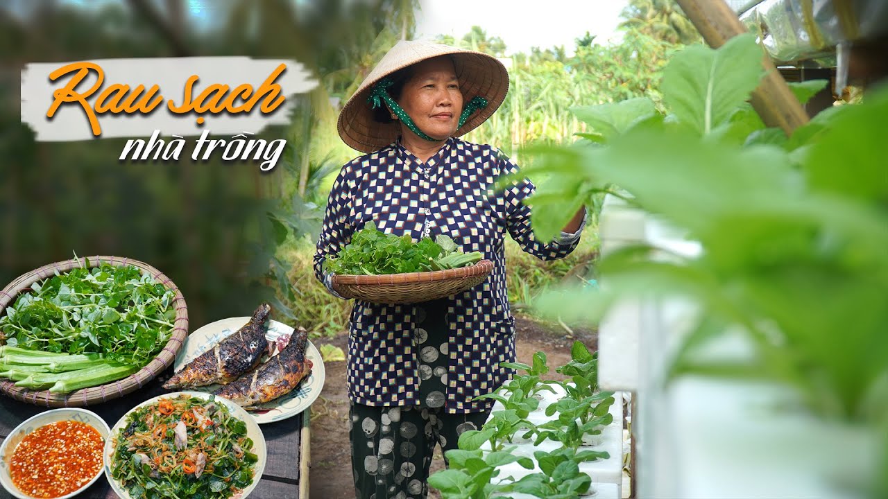 Bữa cơm rẻ tiền nhưng chất lượng nhờ vườn rau sạch tự trồng